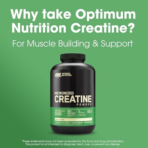 Optimum Nutrition Creatine supplement for muscle building and support.